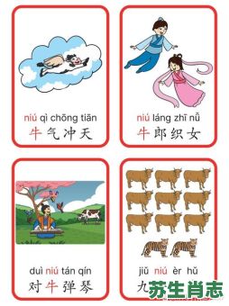 鼠目寸光的生肖是什么？鼠目寸光打一准确动物