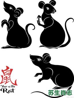 强盗是什么生肖？强盗打一个最准确的生肖