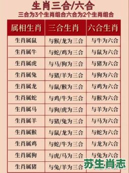 生肖三会是什么意思?生肖三合好还是三会好 生肖三会是什么意思?生肖三合好还是三会好