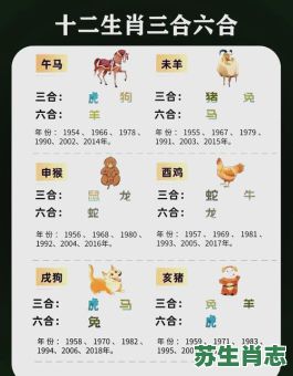 六是什么生肖？六字打一正确生肖