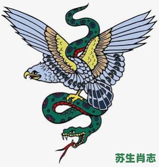 老鹰是什么生肖？老鹰打一准确生肖