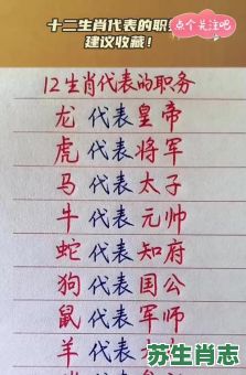我是什么生肖？我代表十二生肖谁