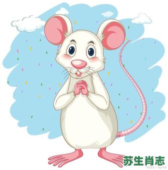 安字是什么生肖？安字打一准确生肖