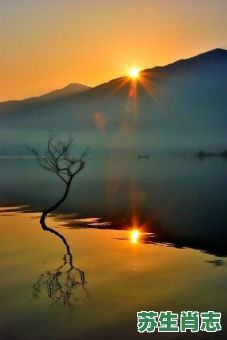 夕阳是什么生肖？夕阳打一个最佳生肖