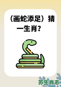 非是什么生肖？非字打一准确生肖