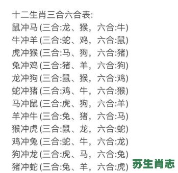 生肖排第三是什么生肖？排第三打一正确生肖