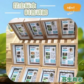 框子是什么生肖？框子打一准确动物