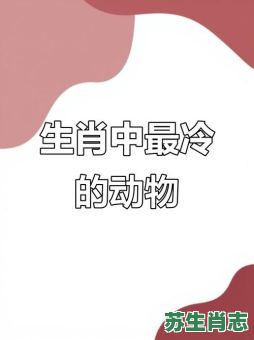 冷是什么生肖？冷打一准确生肖