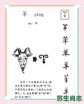 变是什么生肖？变字打一个正确生肖