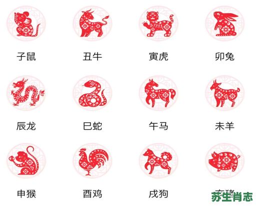 细是什么生肖？细打一个正确生肖