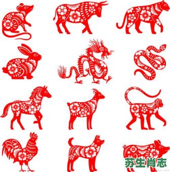 巧是什么生肖？巧打一精准生肖