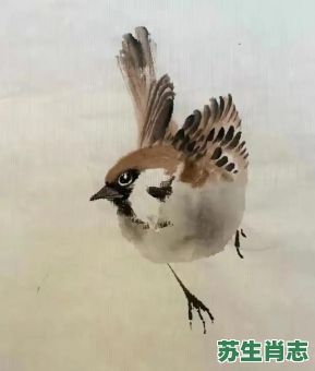 麻雀是什么生肖？麻雀打一个准确生肖