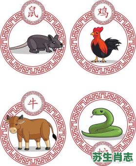 胡子的动物是什么生肖？有胡子打一准确生肖