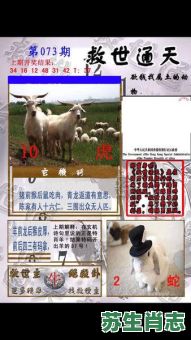 买壮丁是什么生肖？欲钱买壮丁打一准确生肖