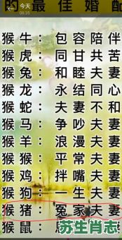 愁是什么生肖？愁字打一个正确生肖