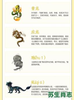 龙是什么生肖？龙正确答案生肖