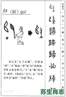 归是什么生肖?归字准确最佳一肖 归是什么生肖?归字准确最佳一肖