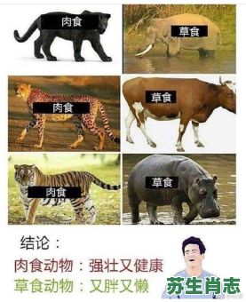 吃素是什么生肖?吃素打一准确动物 吃素是什么生肖?吃素打一准确动物