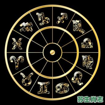 成人之美是什么生肖？成人之美打一准确生肖