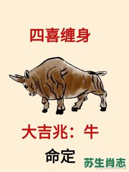 吹牛皮是什么生肖？吹牛打一最佳生肖