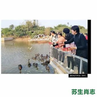 百炼成钢是什么生肖？百炼成钢打一准确动物