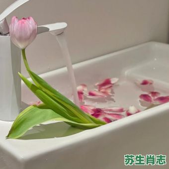 落花流水是什么生肖？落花流水打一正确动物