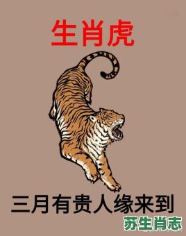 猛是什么生肖？猛字打一准确生肖
