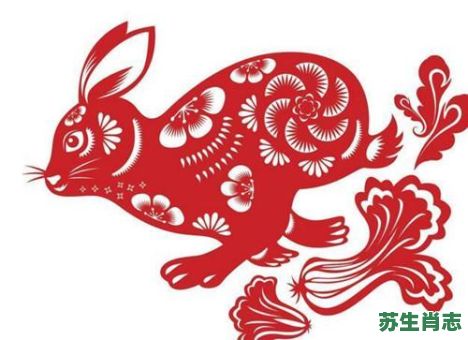 木肖是什么生肖？木肖最准确的生肖