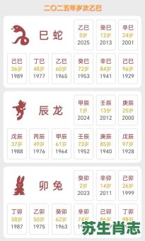 16岁是什么生肖？2025年16岁是什么生肖