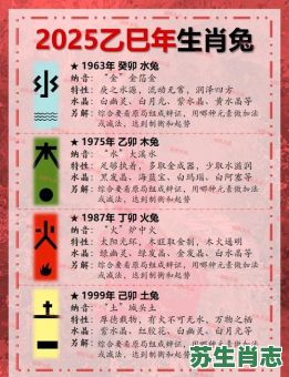 兔前面是什么生肖？兔前后打一正确生肖