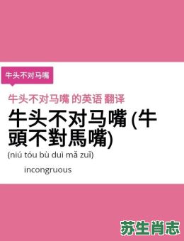 牛头不对马嘴是什么生肖？牛头不对马嘴最佳答案