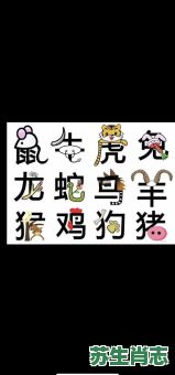 上楼去梯是什么生肖?上楼去梯打一最佳生肖 上楼去梯是什么生肖?上楼去梯打一最佳生肖