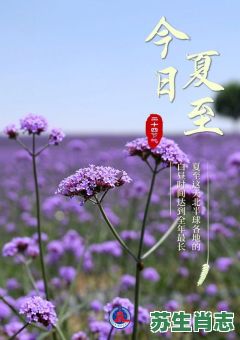 夏至指的是什么生肖?夏至打一最准确生肖 夏至指的是什么生肖?夏至打一最准确生肖