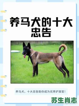 犬马之劳是什么生肖？犬马之劳打一最佳动物
