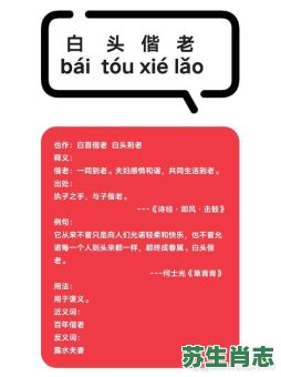 白头偕老是什么生肖？白头偕老最佳一肖