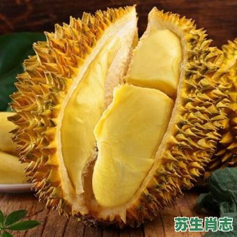 山王之王是什么生肖？山王之王最准确生肖