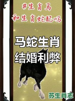 1954年是什么生肖？1954年属蛇还是属马