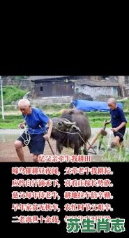 拉车耕田是什么生肖？拉车耕田最正确生肖