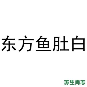东方鱼肚白是什么生肖？东方鱼肚白最准确生肖