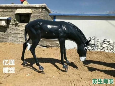 头顶风云一身酸是什么生肖？头顶风云一身酸正确答案