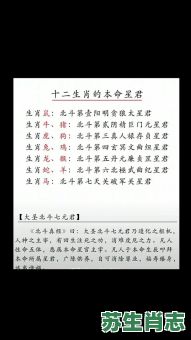 星辰北斗是什么生肖？星辰北斗打一准确动物