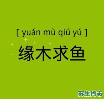 啄木求鱼是什么生肖？缘木求鱼最正确生肖