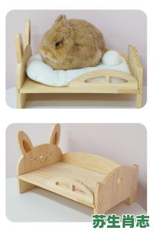 老式睡床是什么生肖？老式睡床打一个动物