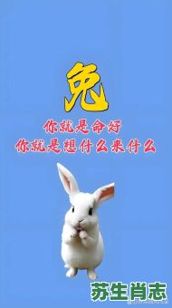 兔死狐悲是什么生肖？兔死狐悲准确一肖