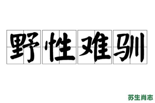 野性难驯是什么生肖?野性难驯打一准确动物 野性难驯是什么生肖?野性难驯打一准确动物