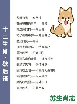 不如一击是什么生肖？不如一击传他方是什么生肖