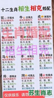 二五相合一七开是什么生肖？二五相合一七开正确答案