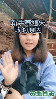 人中豪杰是什么生肖？人中豪杰打一最准确动物