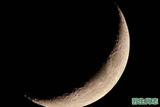 天上月亮是什么生肖？天上月亮打一准确生肖