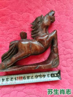 四蹄飞奔是什么生肖？四蹄飞奔准确打一肖